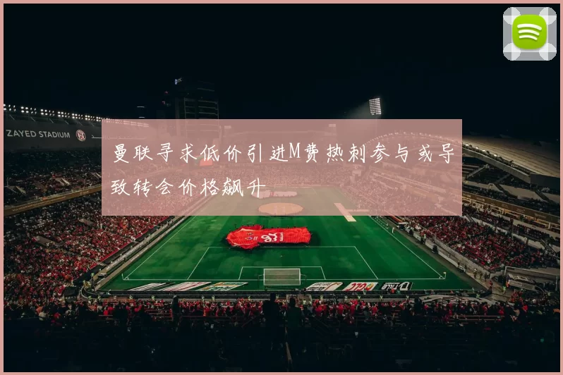 曼联寻求低价引进M费热刺参与或导致转会价格飙升